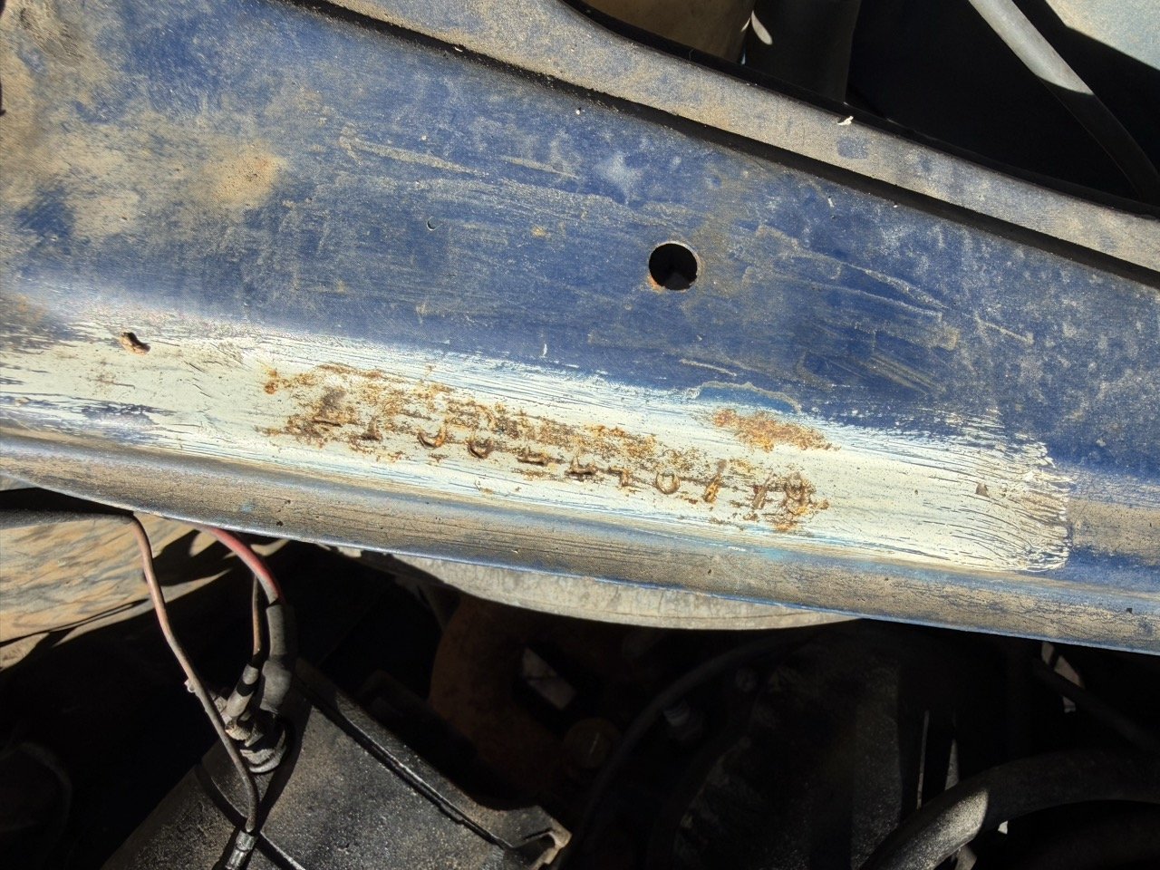 IMG_1845 – grande.jpeg