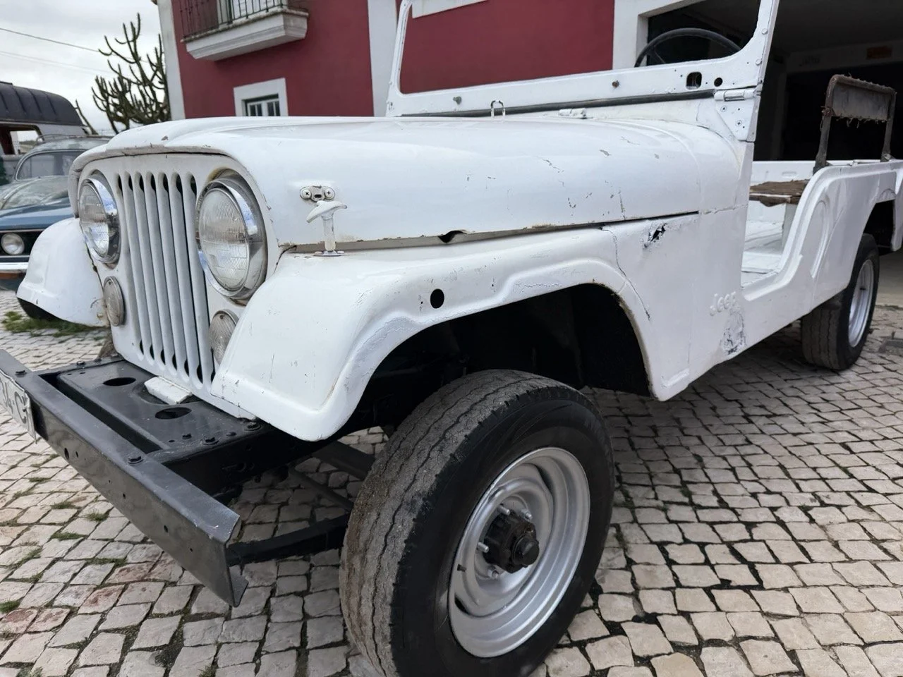 IMG_3921 – grande.jpeg