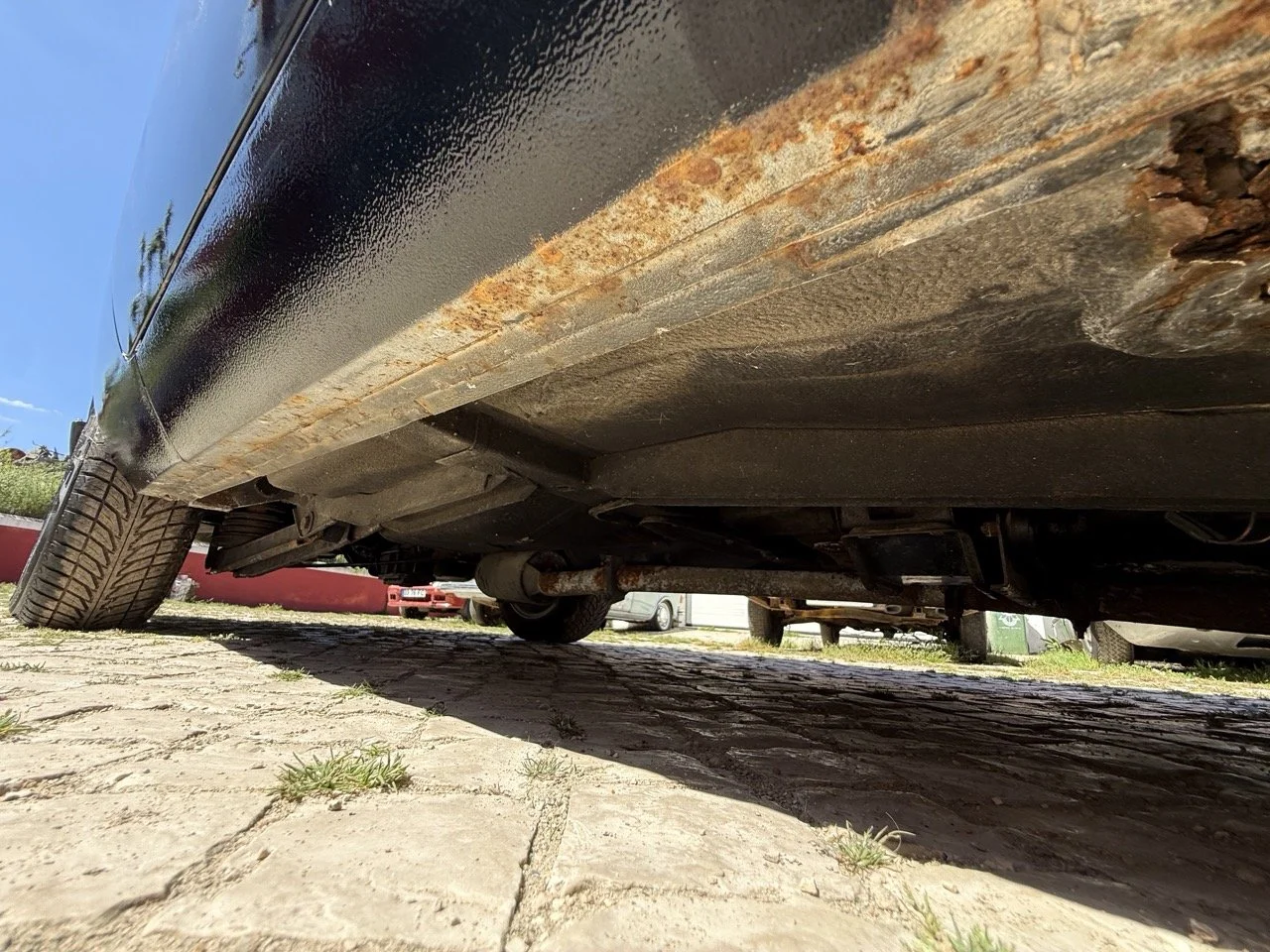 IMG_2233 – grande.jpeg