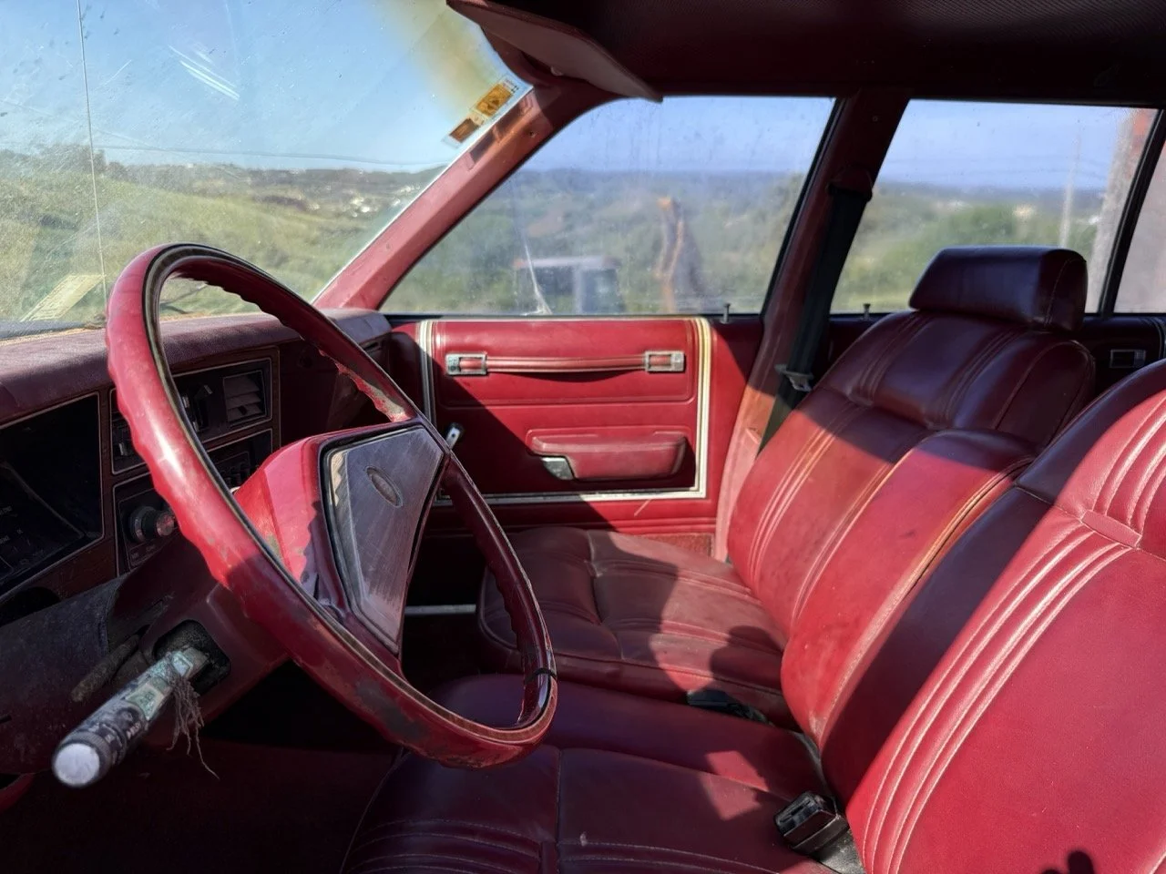 IMG_3019 – grande.jpeg