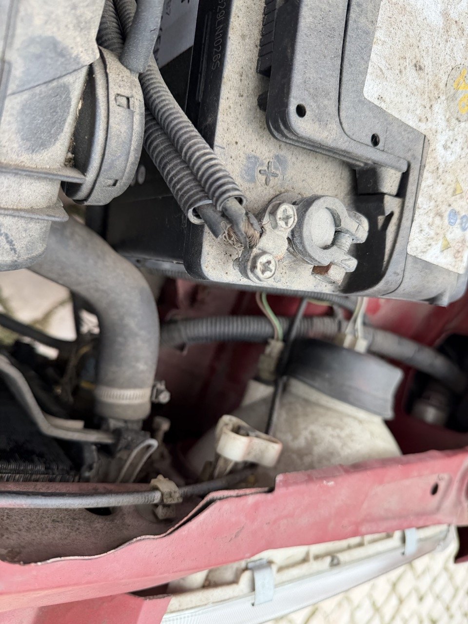 IMG_3607 – grande.jpeg