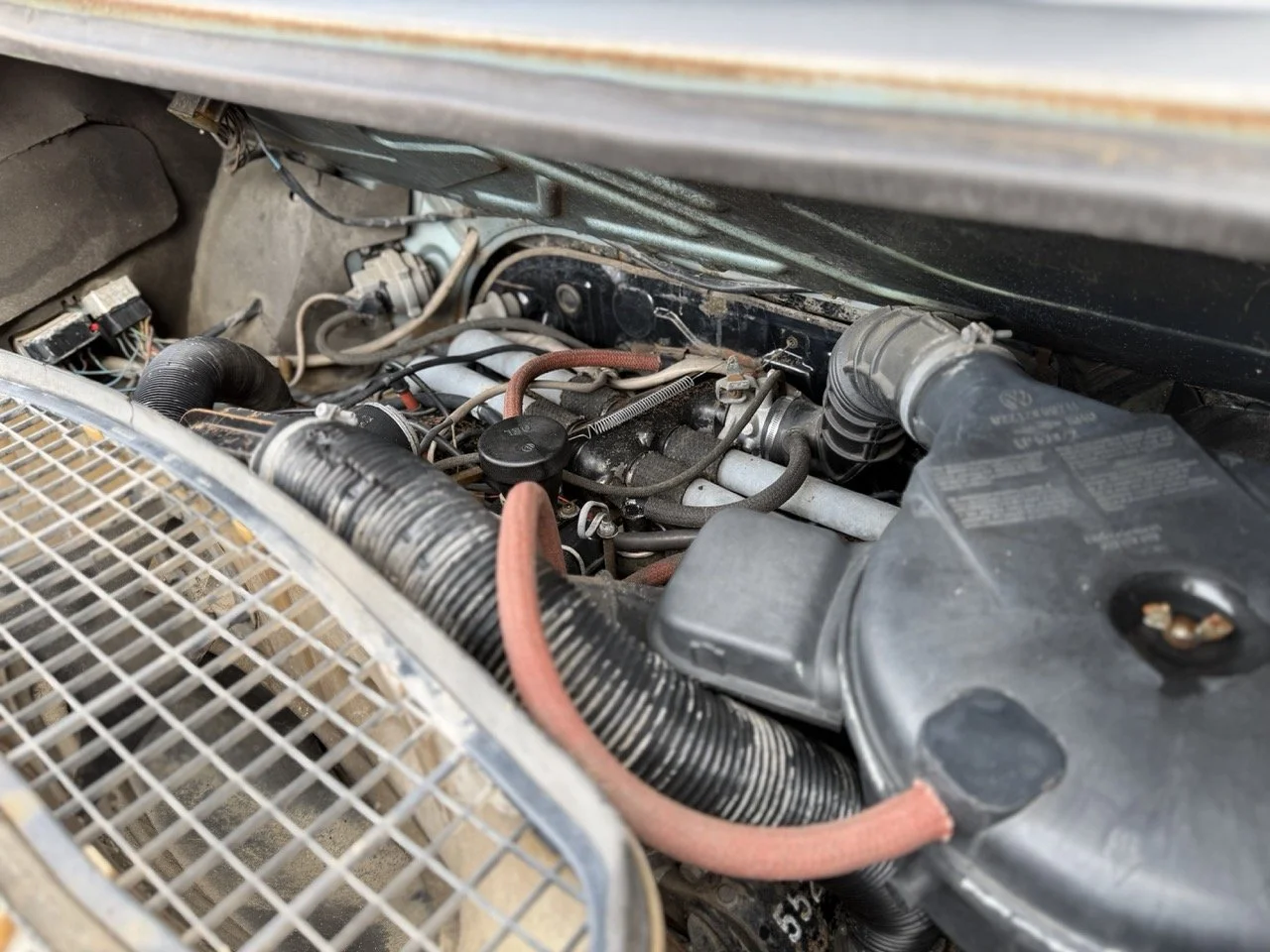 IMG_4793 – grande.jpeg