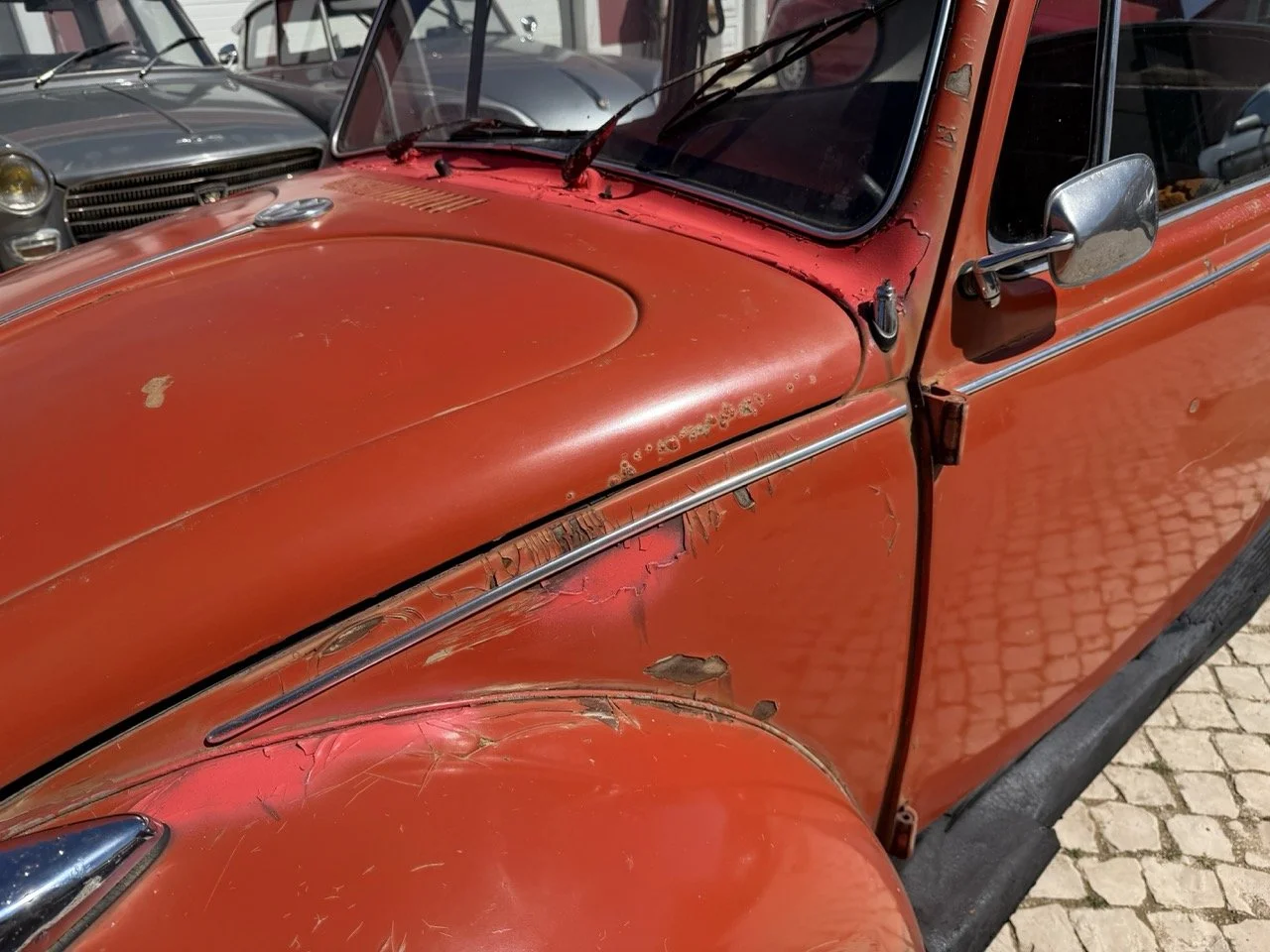 IMG_7571 – grande.jpeg