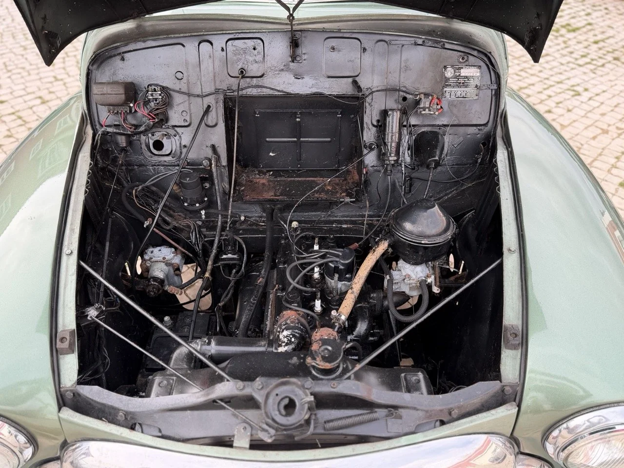 IMG_9832 – grande.jpeg