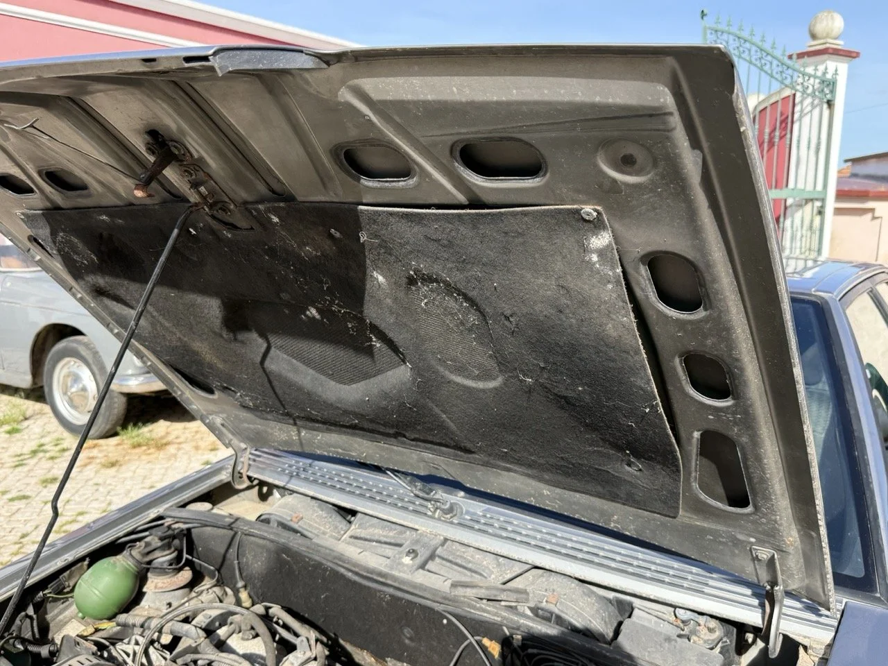 IMG_2601 – grande.jpeg