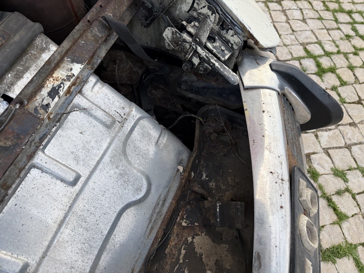 IMG_5965 2 – grande.jpeg