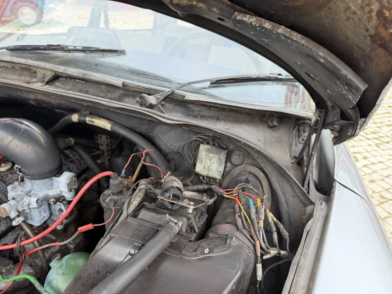 IMG_3741 – grande.jpeg