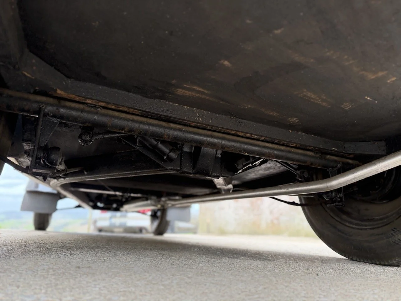 IMG_1486 – grande.jpeg