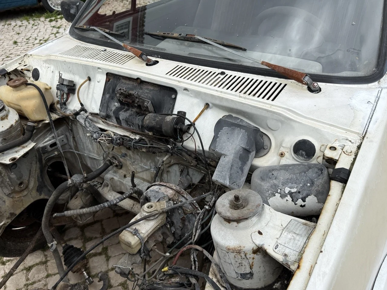 IMG_8544 – grande.jpeg