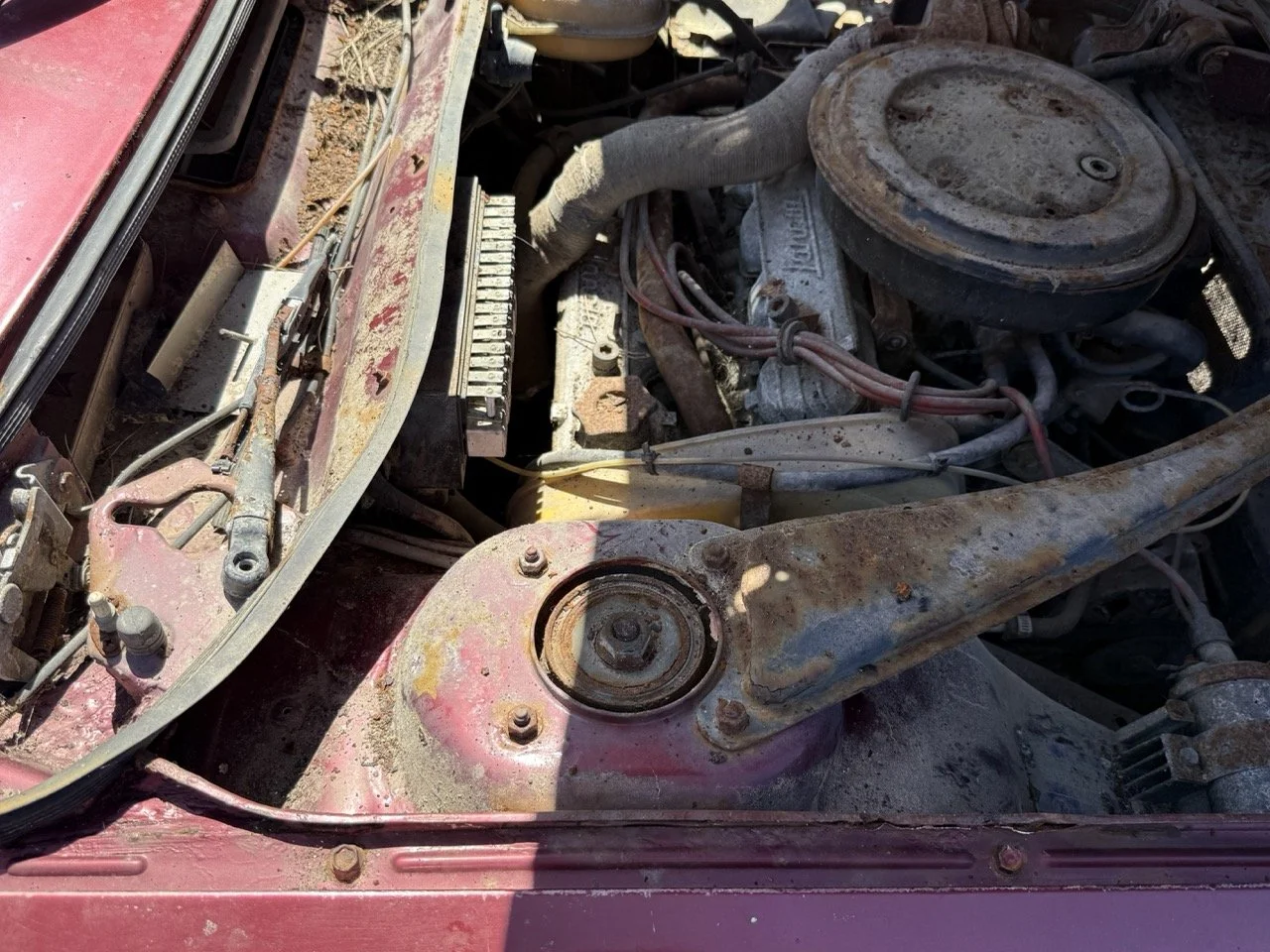 IMG_0921 – grande.jpeg