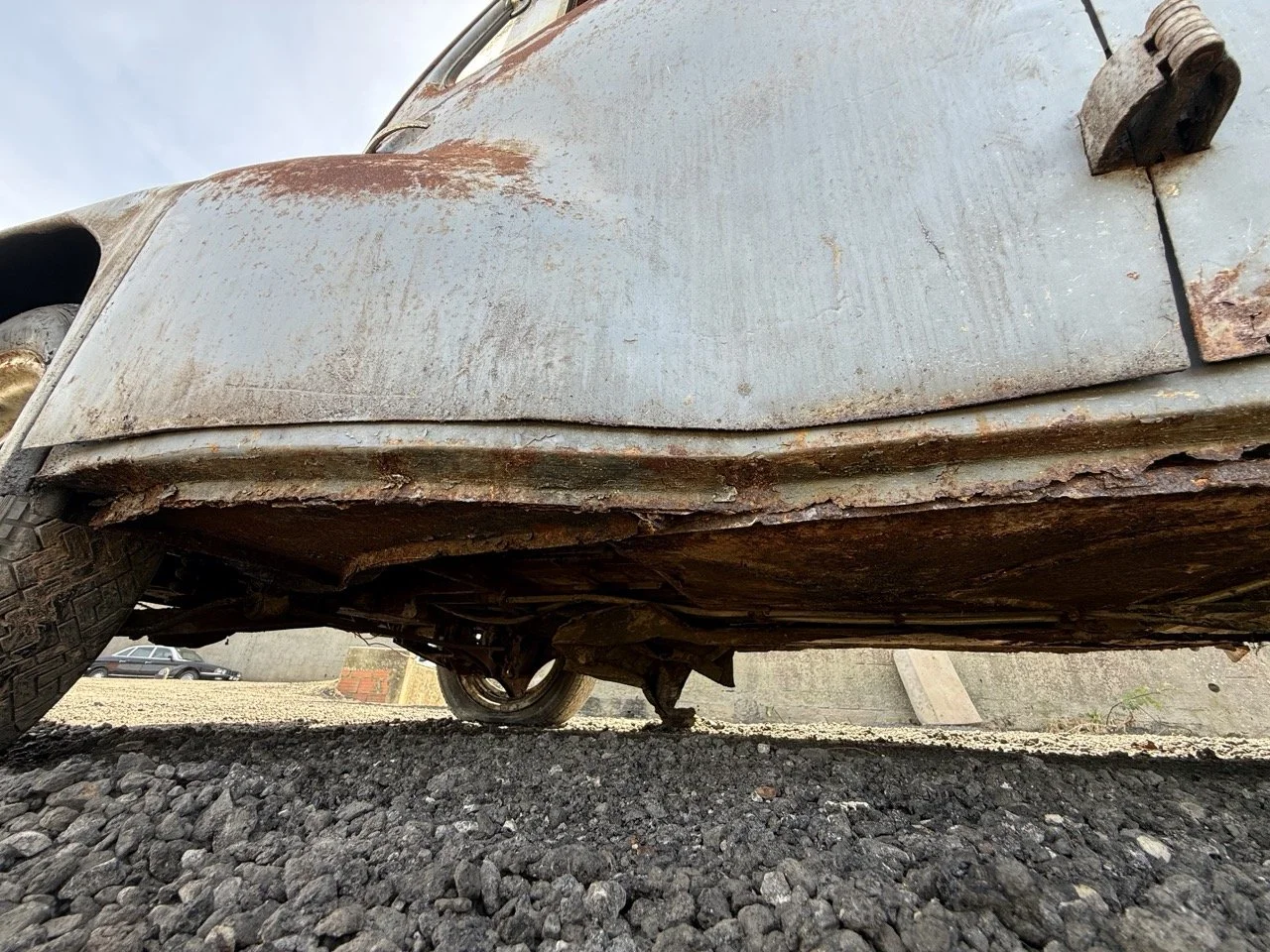 IMG_0291 – grande.jpeg