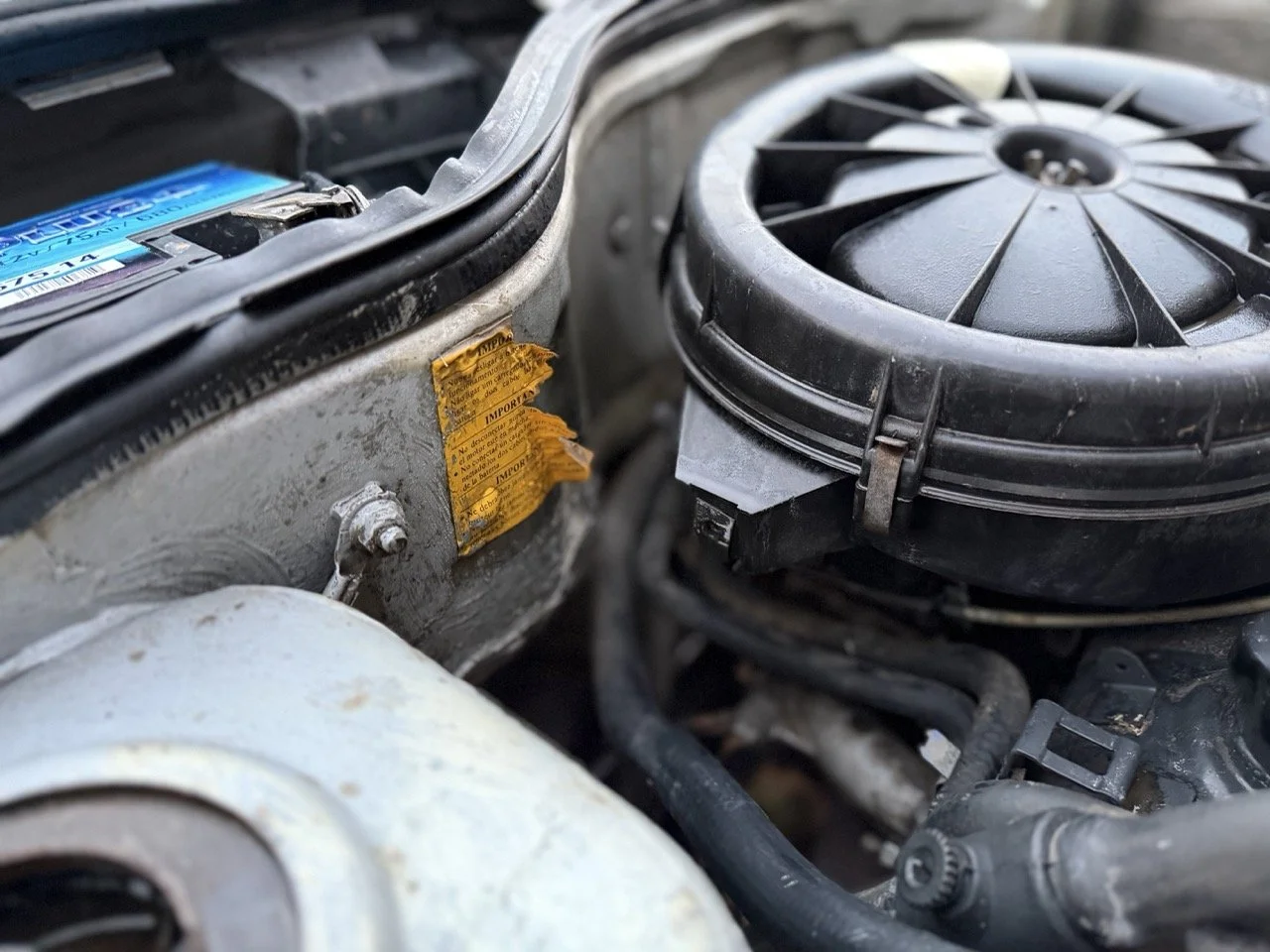 IMG_4739 3 – grande.jpeg