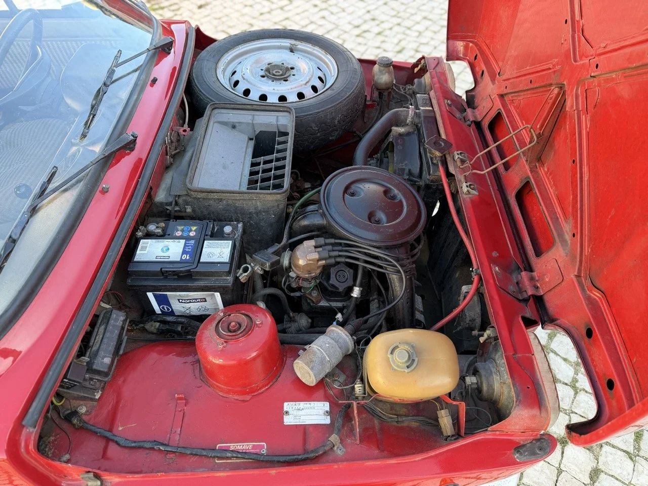 IMG_7164 – grande.jpeg