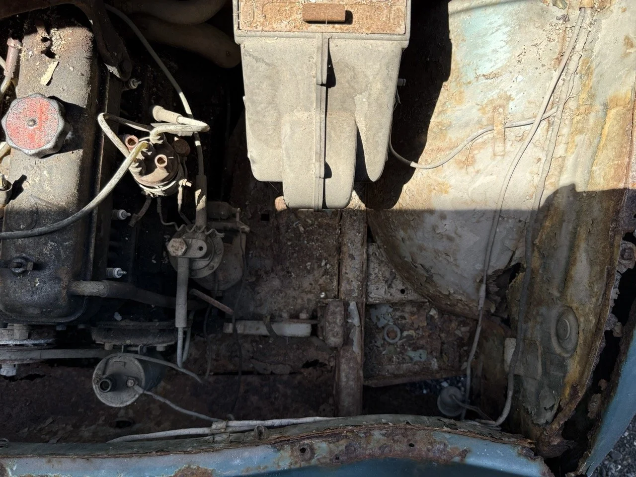 IMG_0874 – grande.jpeg