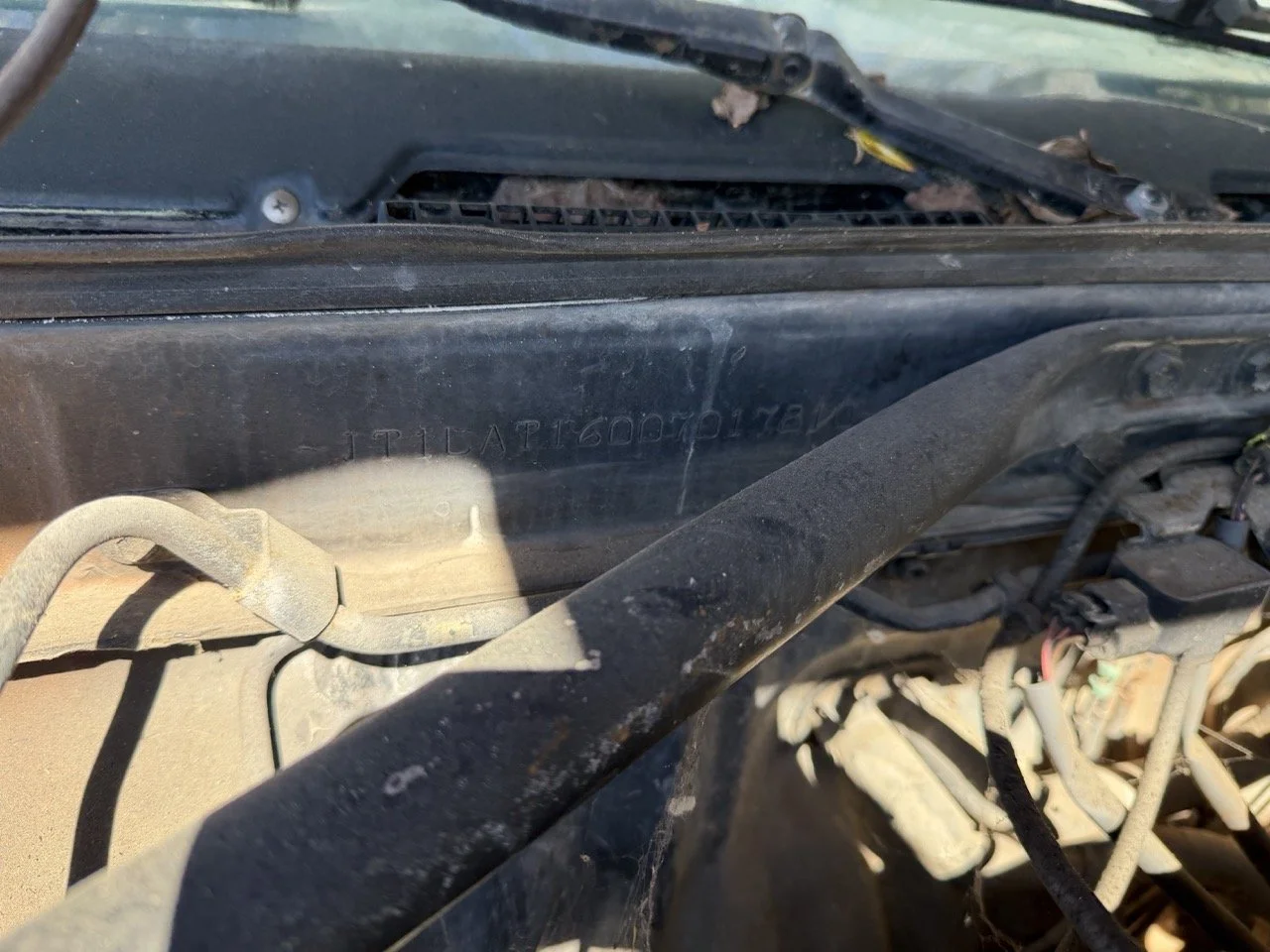 IMG_7620 – grande.jpeg