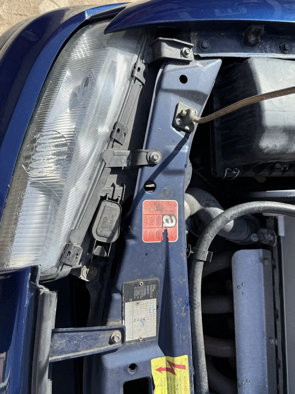 IMG_2431 – grande.jpeg