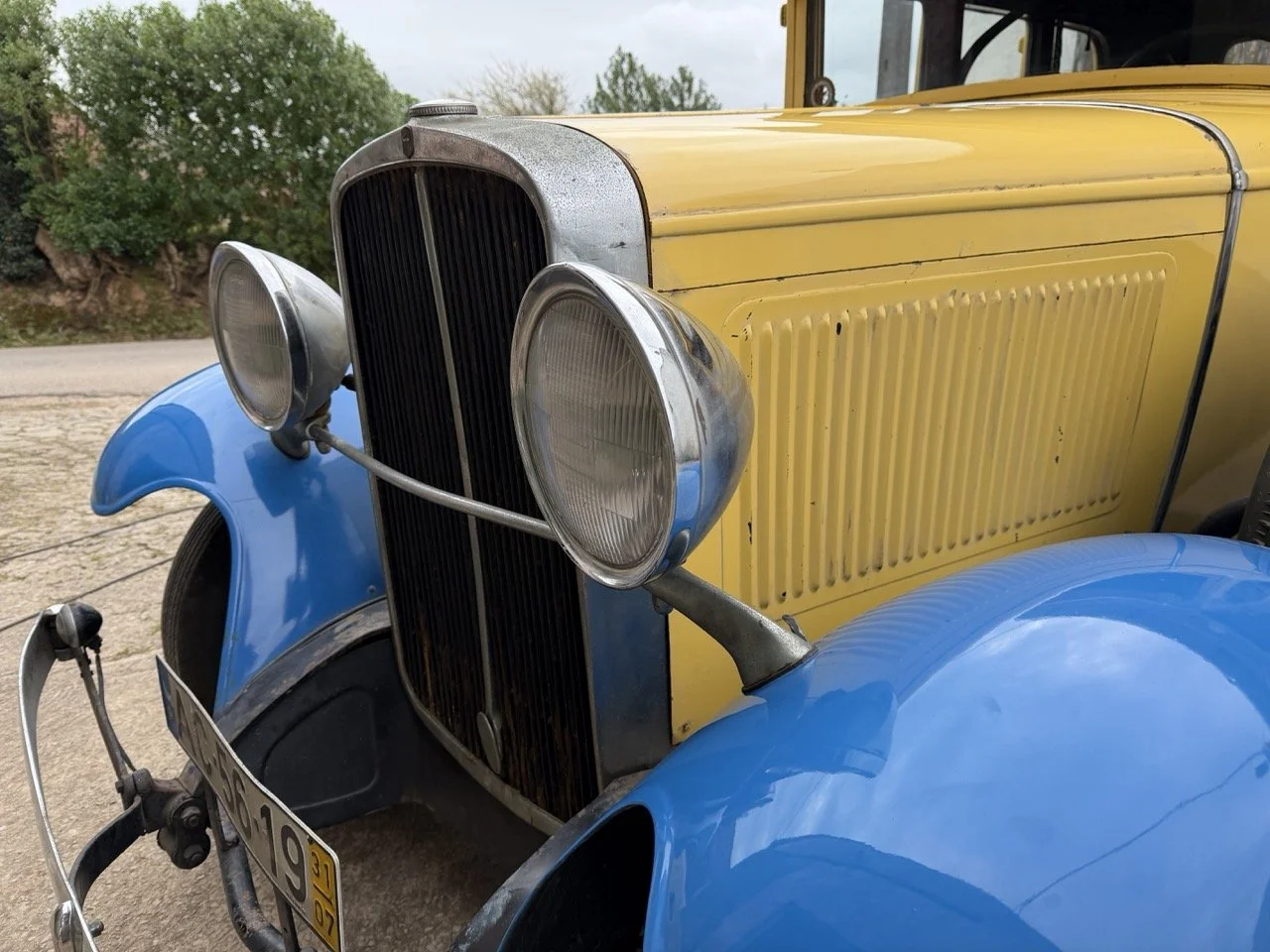 IMG_1578 – grande.jpeg