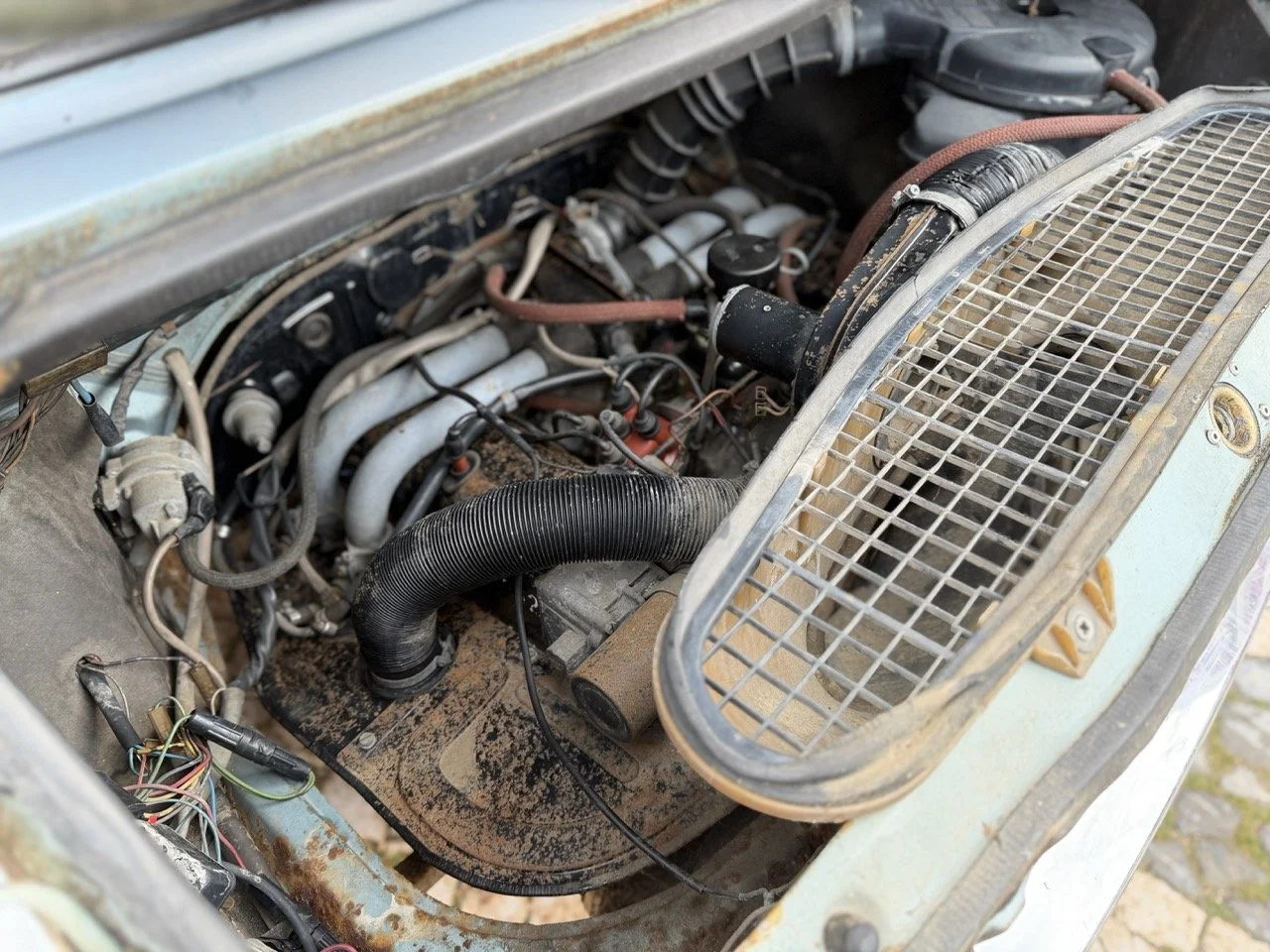 IMG_4792 – grande.jpeg