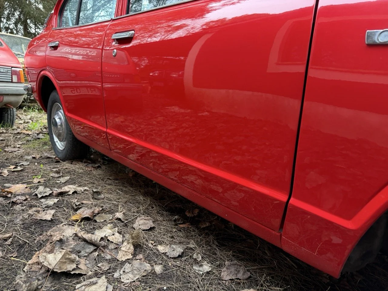 IMG_4942 – grande.jpeg