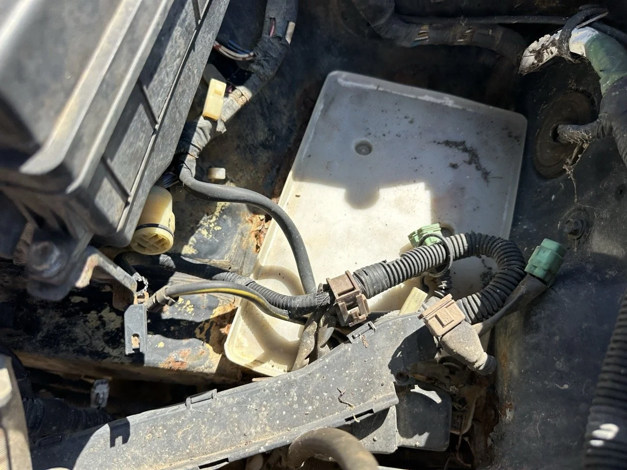 IMG_3083 – grande.jpeg