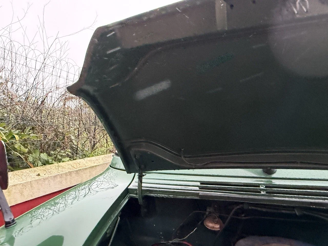 IMG_9955 – grande.jpeg