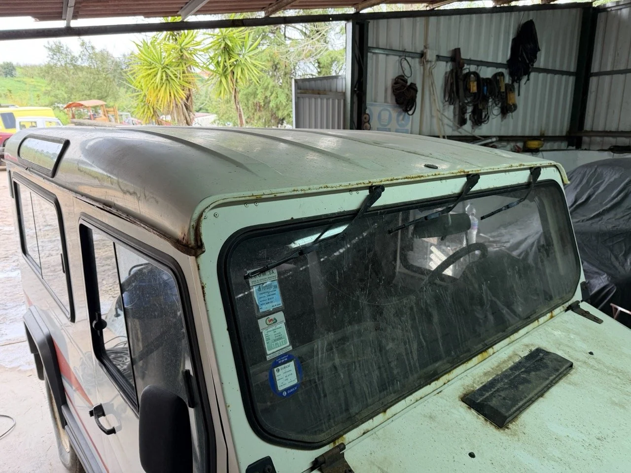 IMG_5213 – grande.jpeg