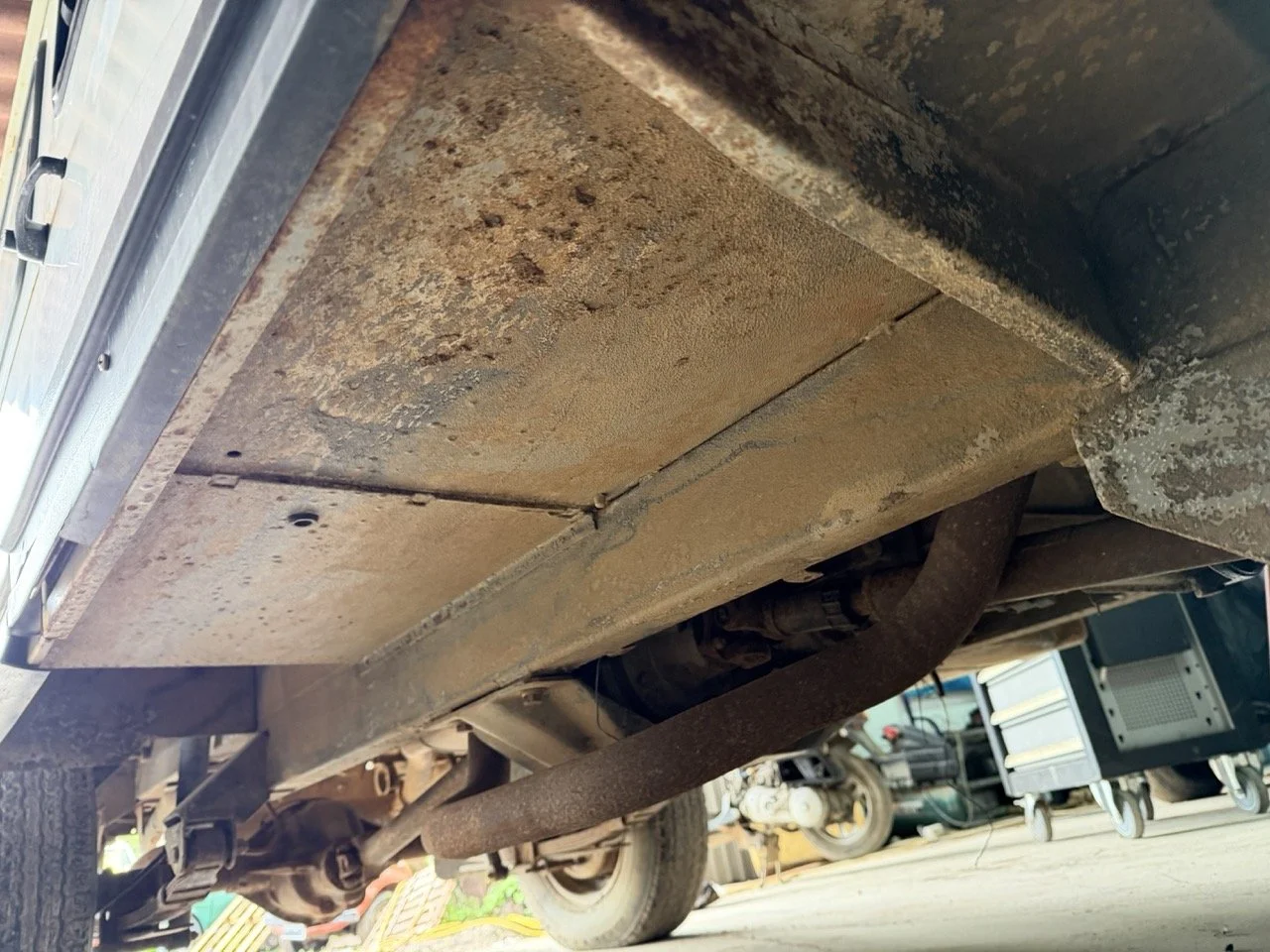 IMG_5244 – grande.jpeg