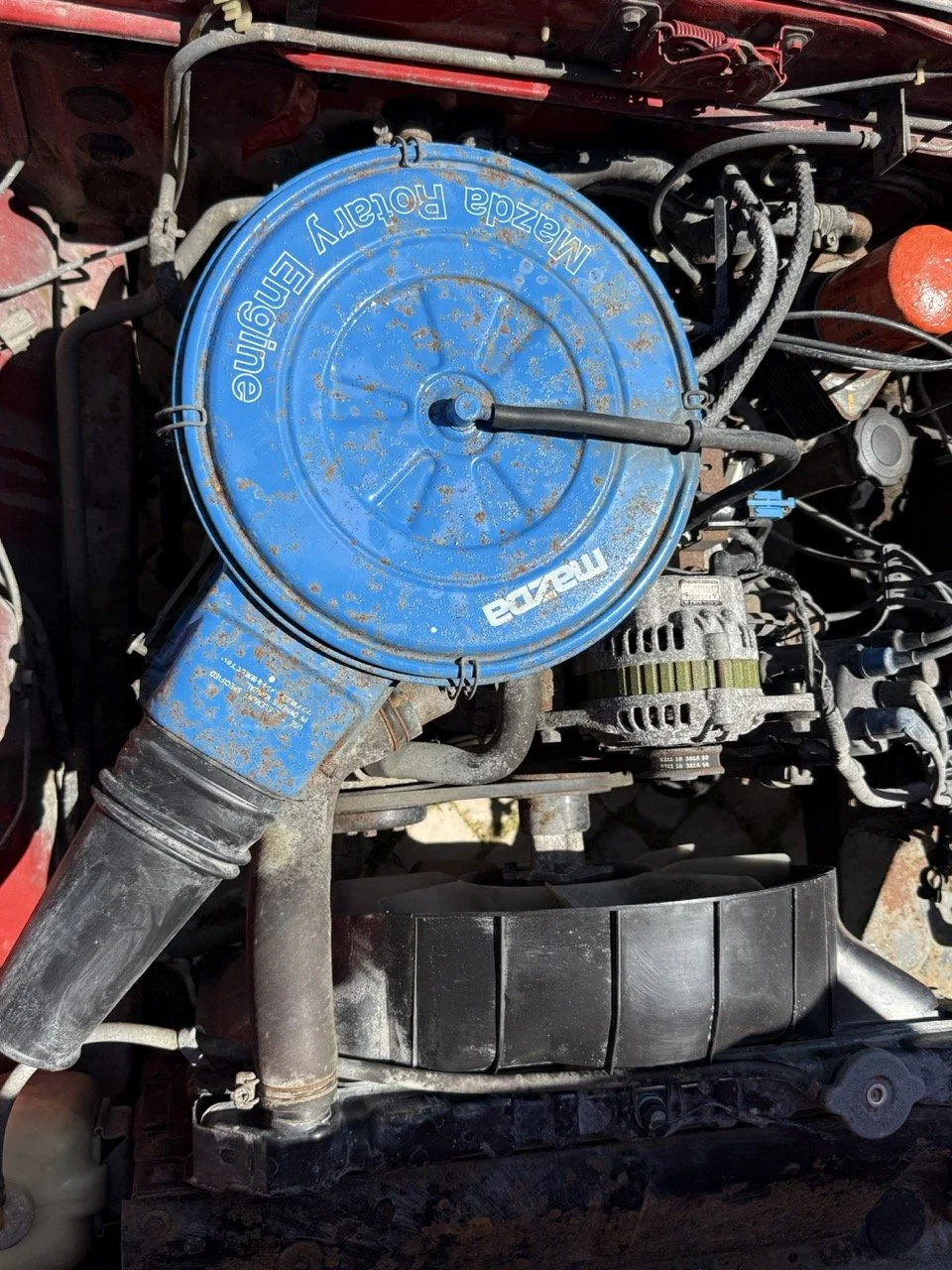 IMG_2050 – grande.jpeg