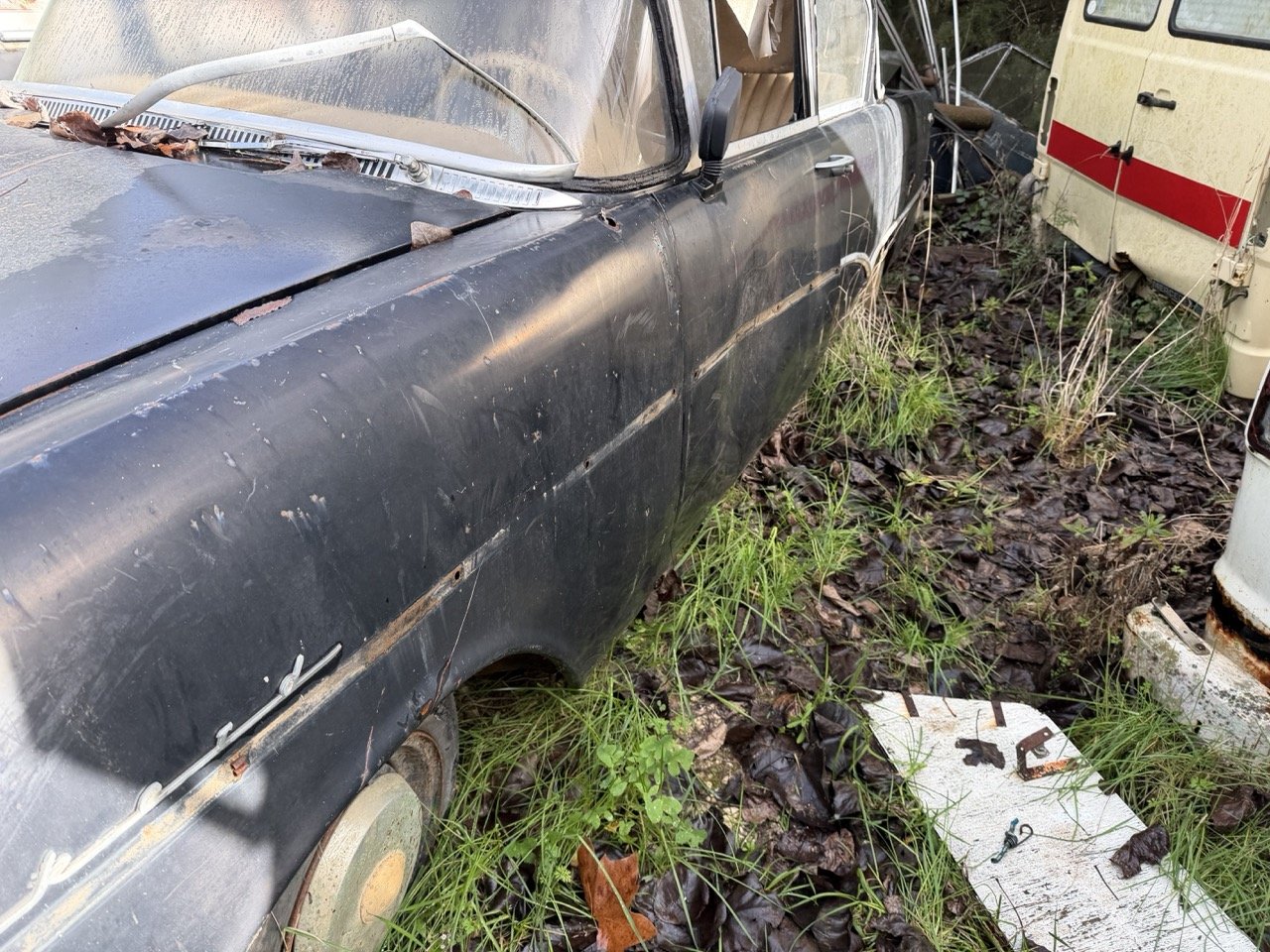 IMG_5067 – grande.jpeg