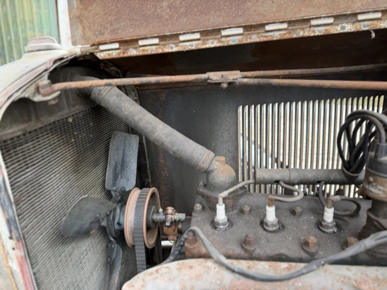 IMG_1702 – grande.jpeg