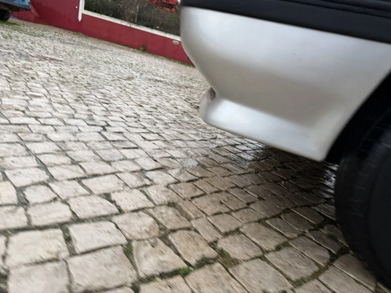 IMG_4752 3 – grande.jpeg