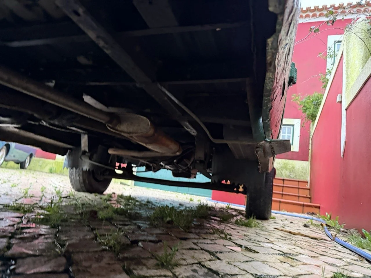 IMG_9993 – grande.jpeg