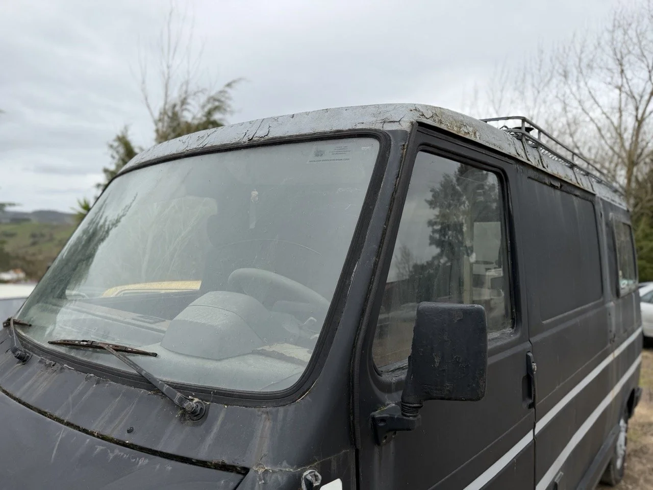 IMG_1307 – grande.jpeg