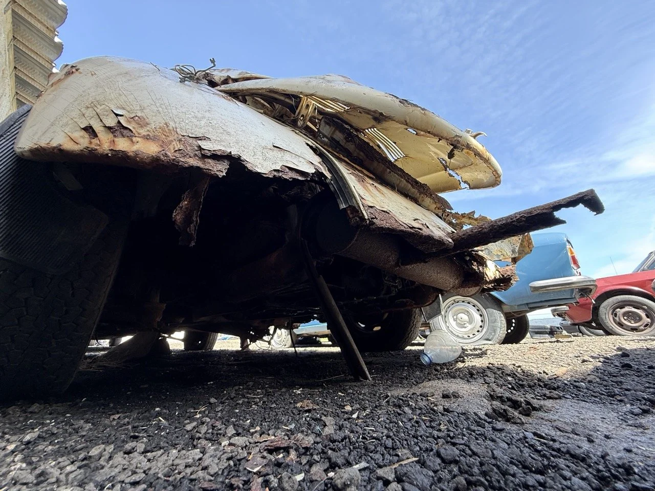 IMG_0649 – grande.jpeg