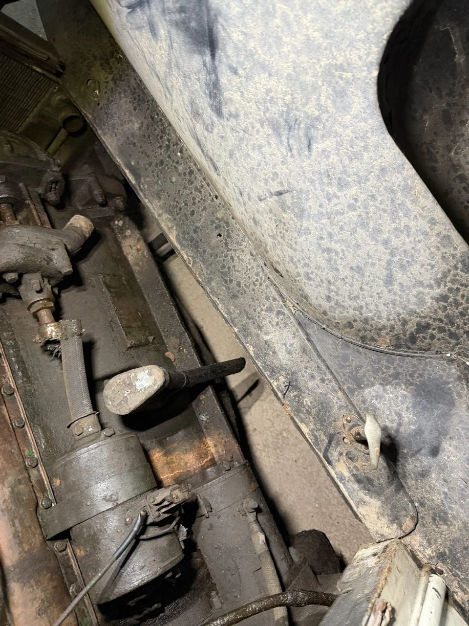 IMG_2447 – grande.jpeg