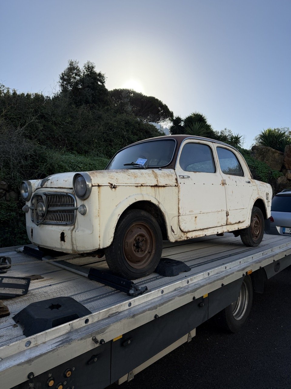 IMG_2033 2 – grande.jpeg