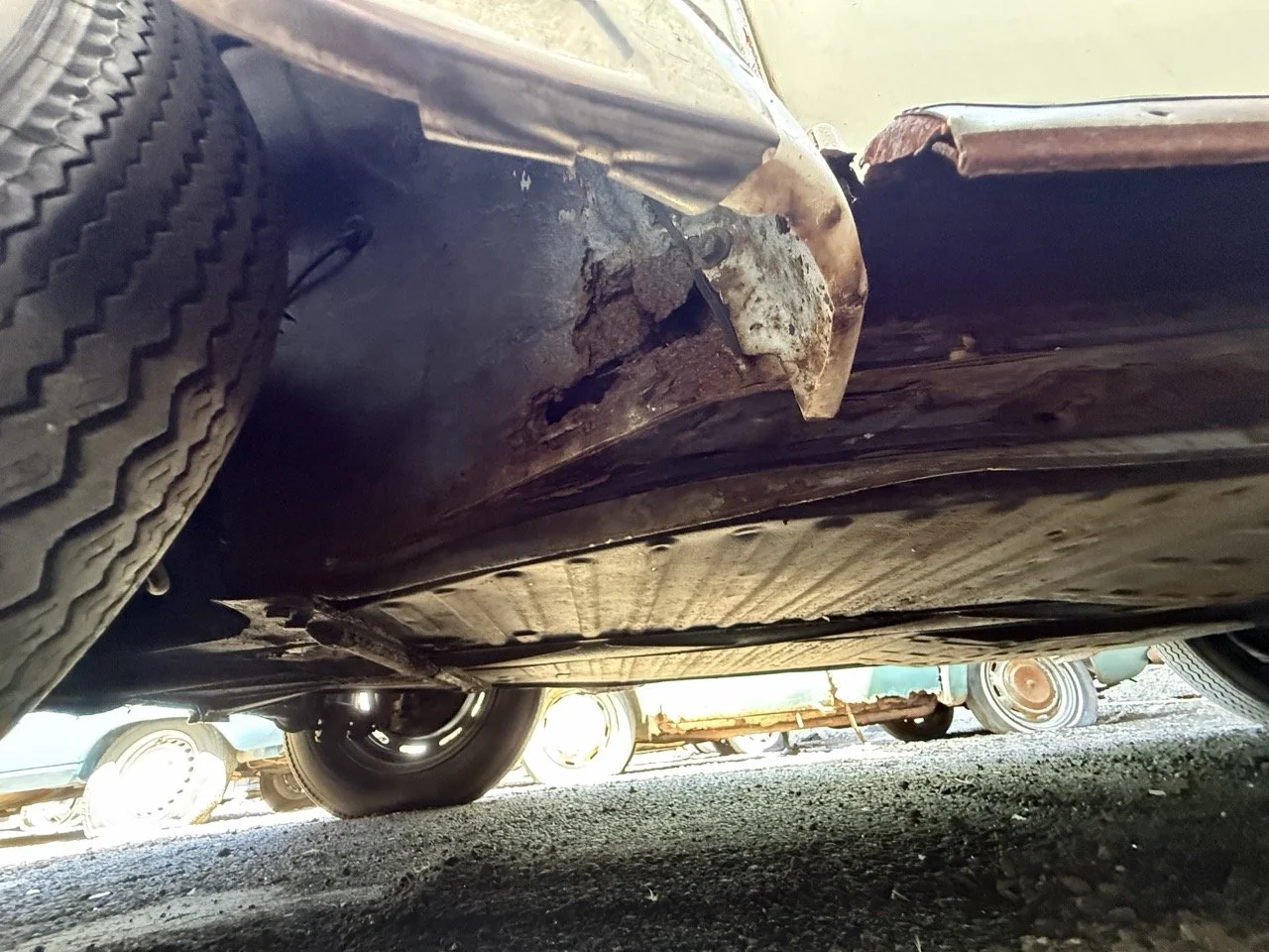 IMG_0716 – grande.jpeg