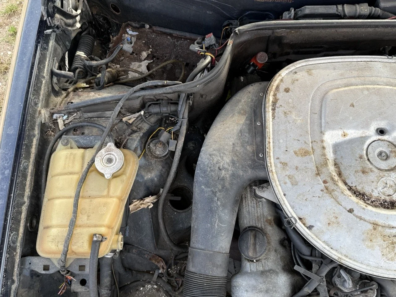 IMG_3418 – grande.jpeg