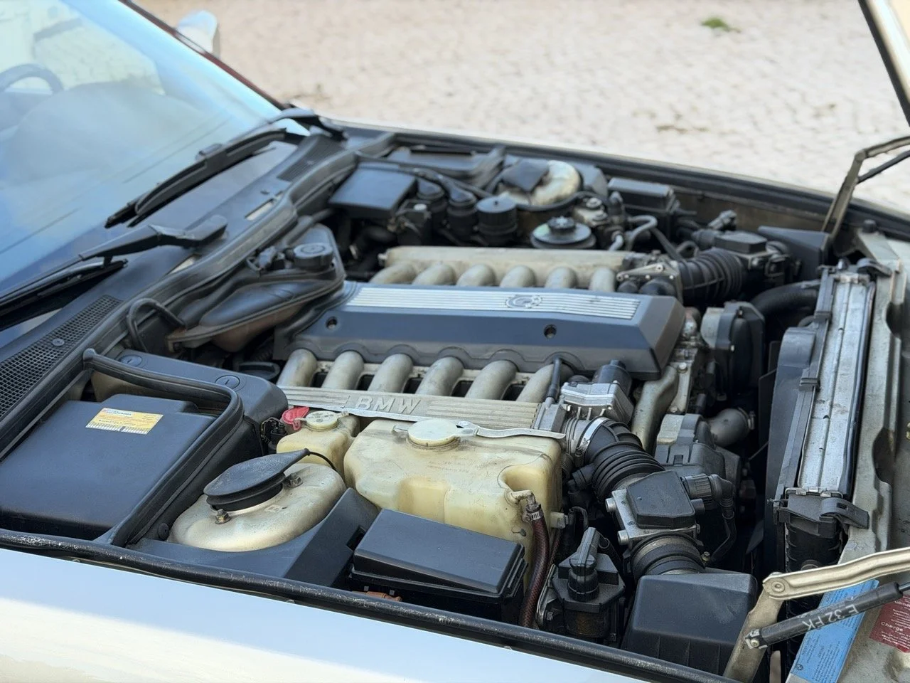 IMG_6973 2 – grande.jpeg