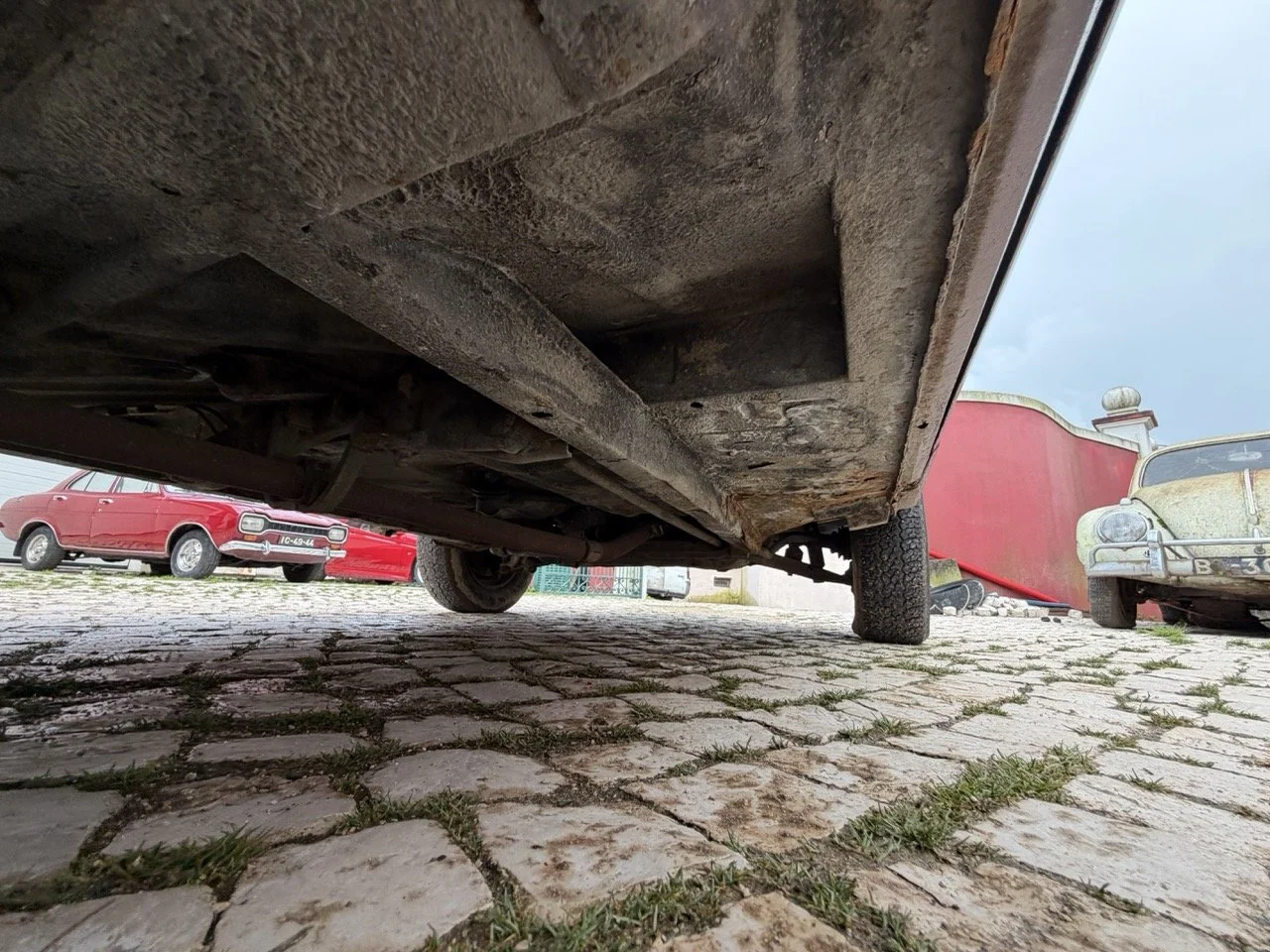 IMG_4944 – grande.jpeg