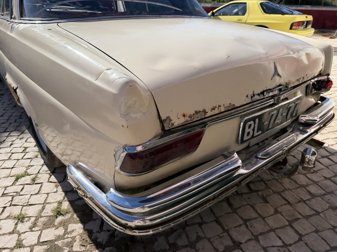 IMG_7046 – grande.jpeg