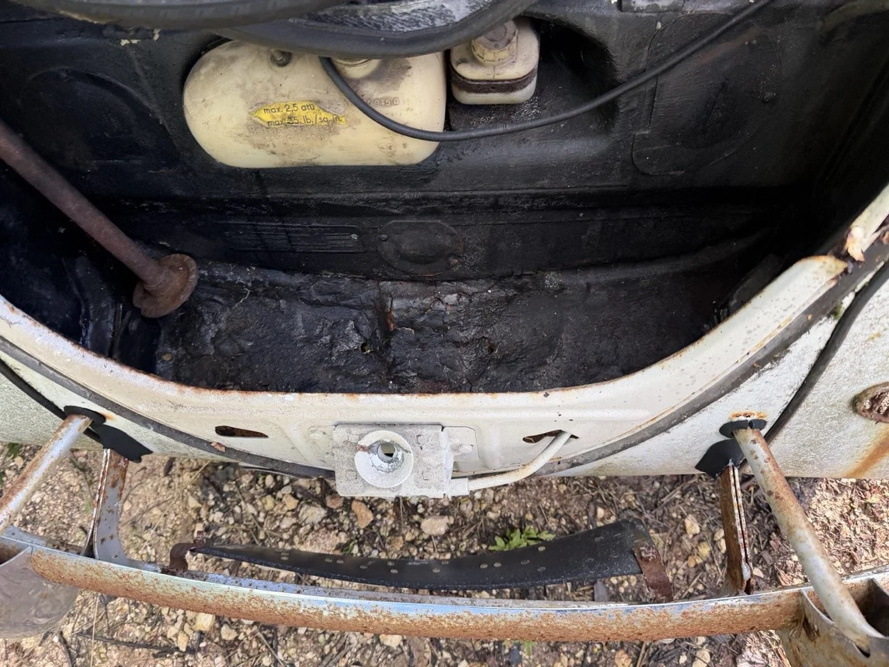 IMG_8609 – grande.jpeg