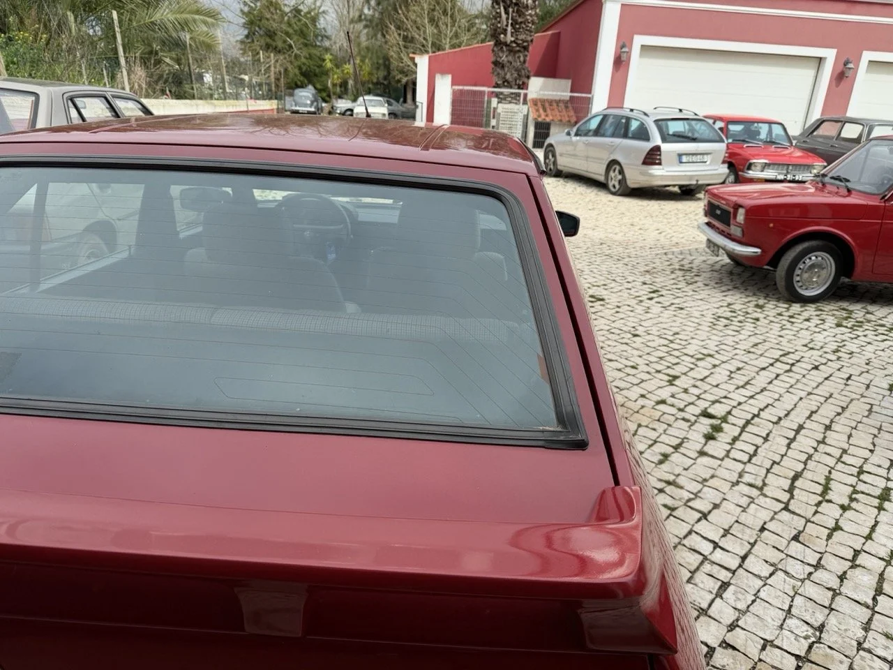 IMG_3515 – grande.jpeg