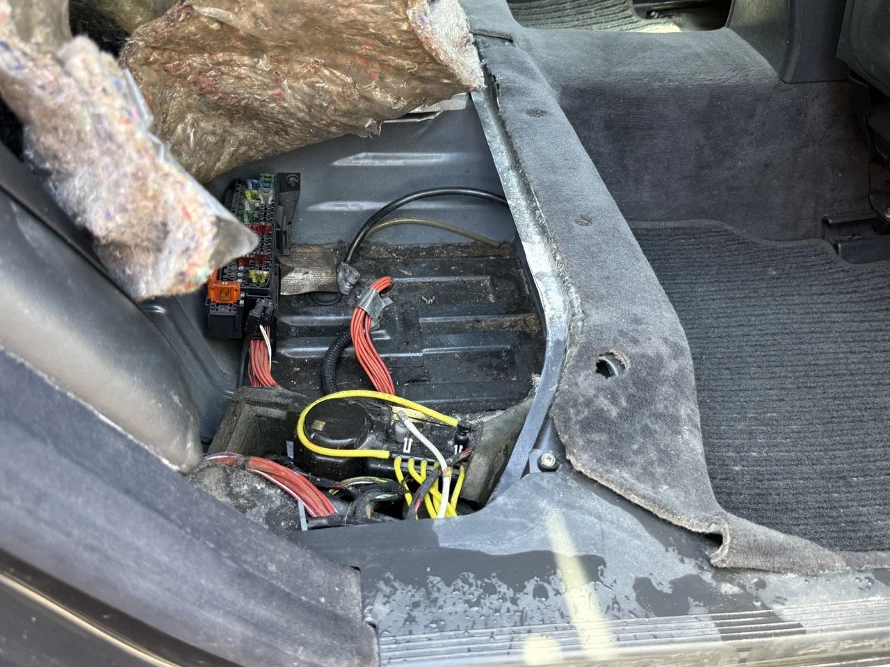 IMG_1773 – grande.jpeg