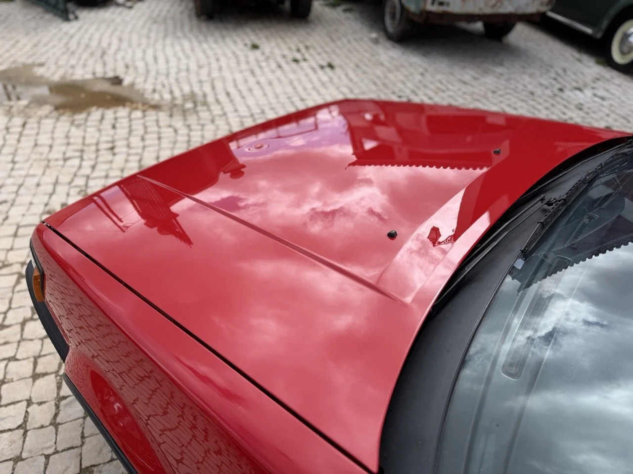 IMG_2388 – grande.jpeg