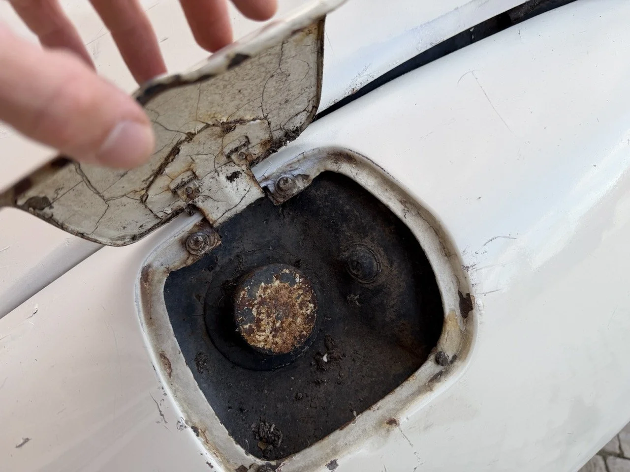 IMG_5957 2 – grande.jpeg