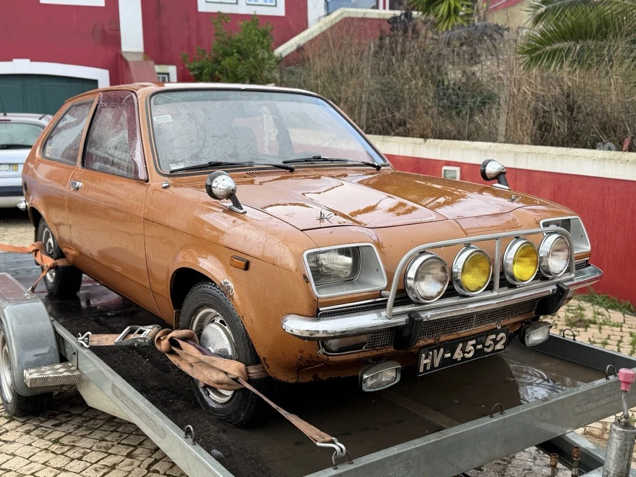 IMG_8700 – grande.jpeg