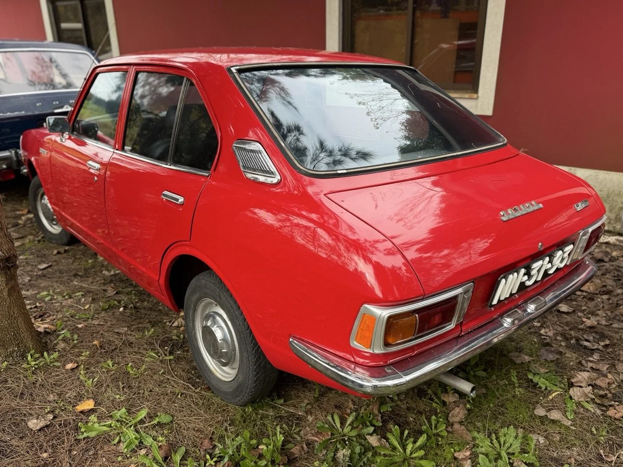 IMG_4935 – grande.jpeg