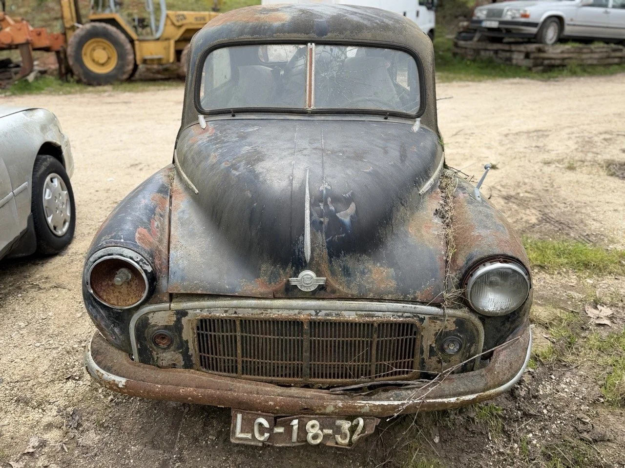 IMG_3830 – grande.jpeg