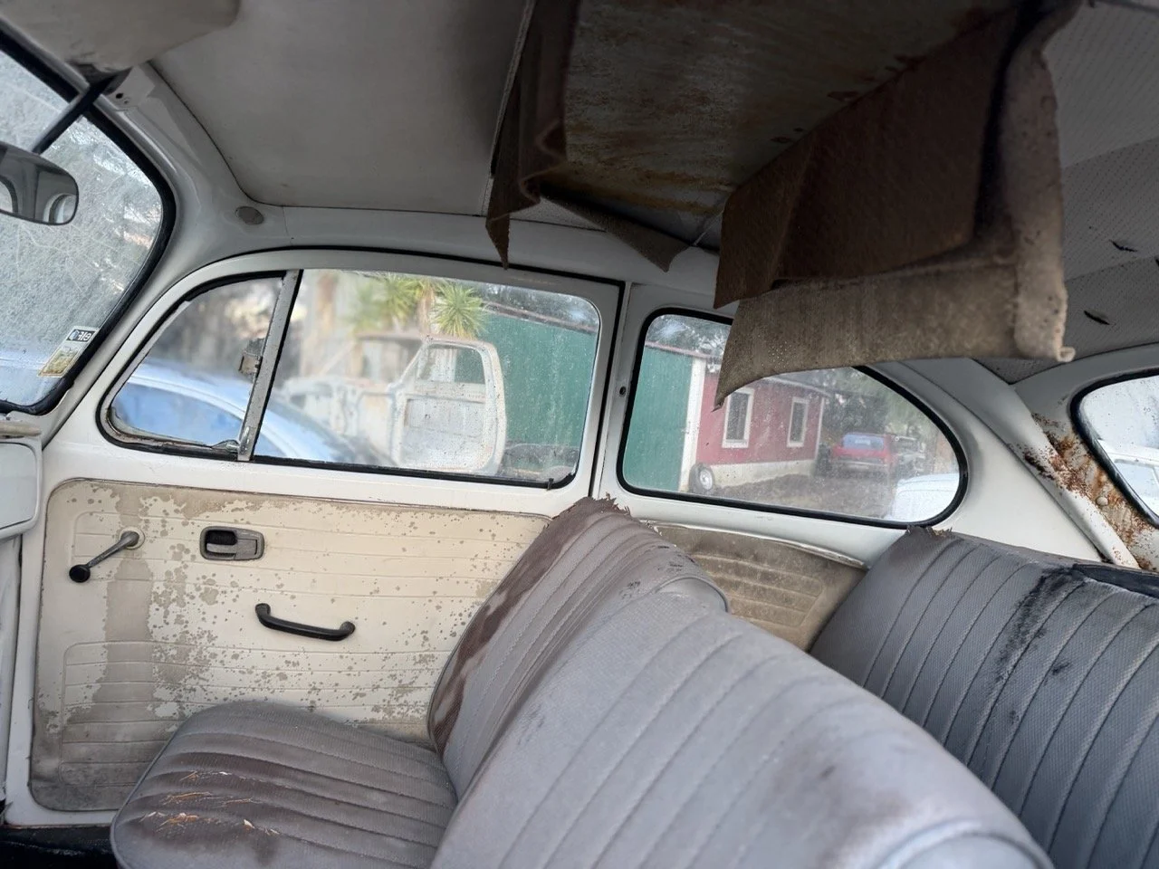 IMG_8596 – grande.jpeg